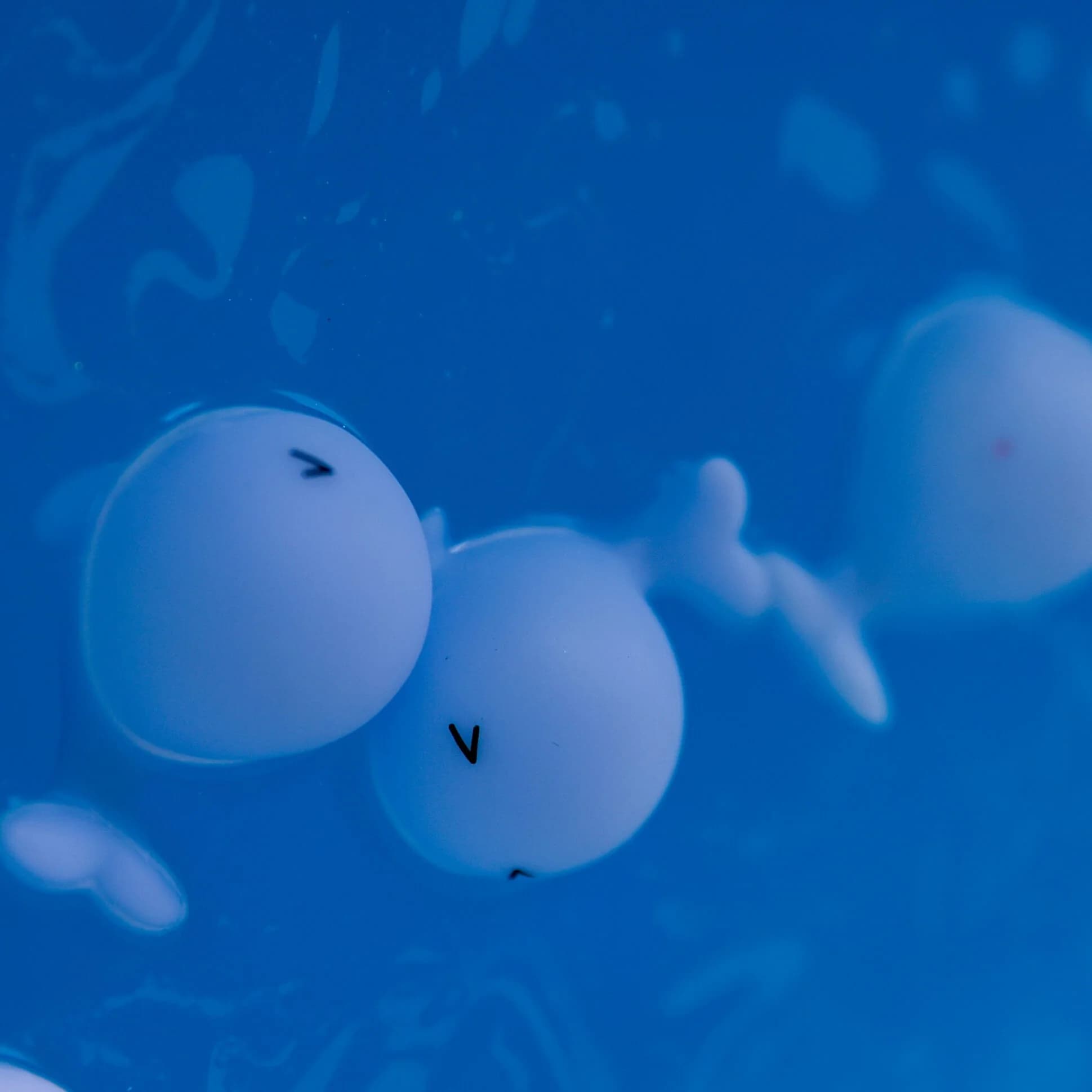 Бомба для ванны | Бомба для ванны "На волне!" с игрушкой внутри 200г - фото 3