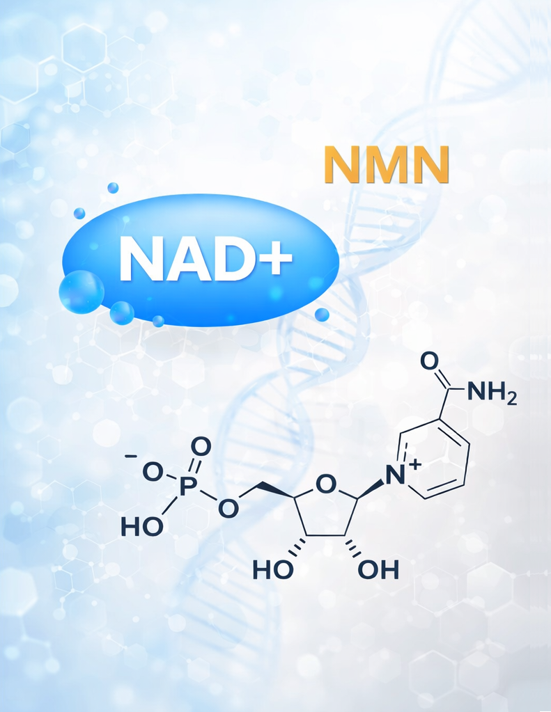 NAD+ и NMN в косметике: действительно ли это молекулы молодости для кожи?