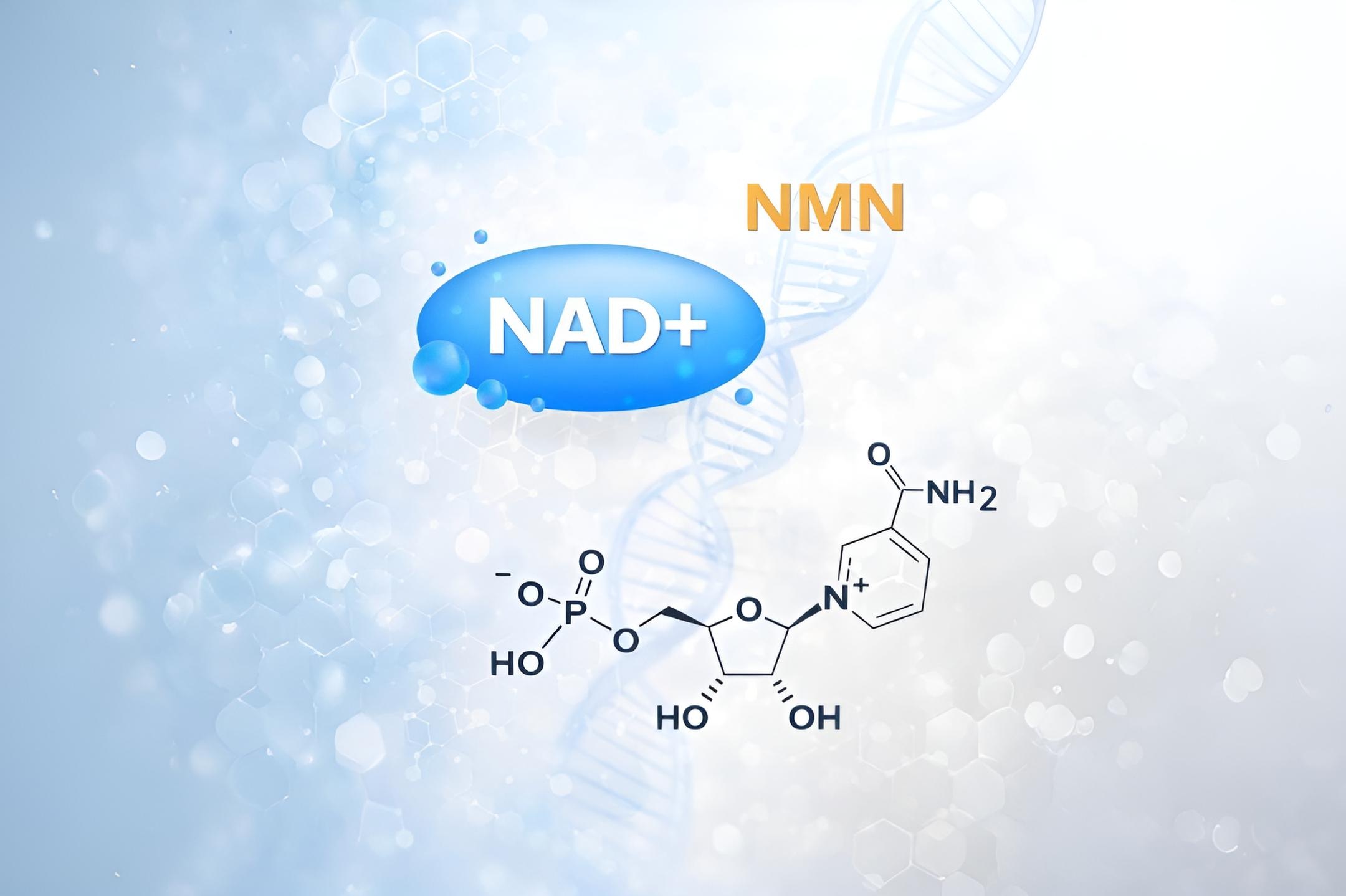 NAD+ и NMN в косметике: действительно ли это молекулы молодости для кожи?